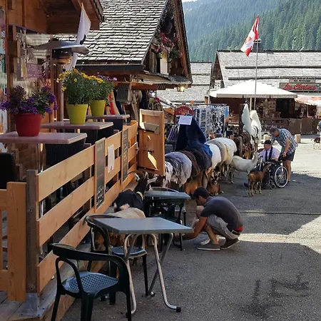 Le Triolet 2 Chatel- Chapelle * Abondance