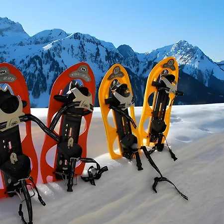 Le Triolet 2 Chatel- Chapelle Apartmán *